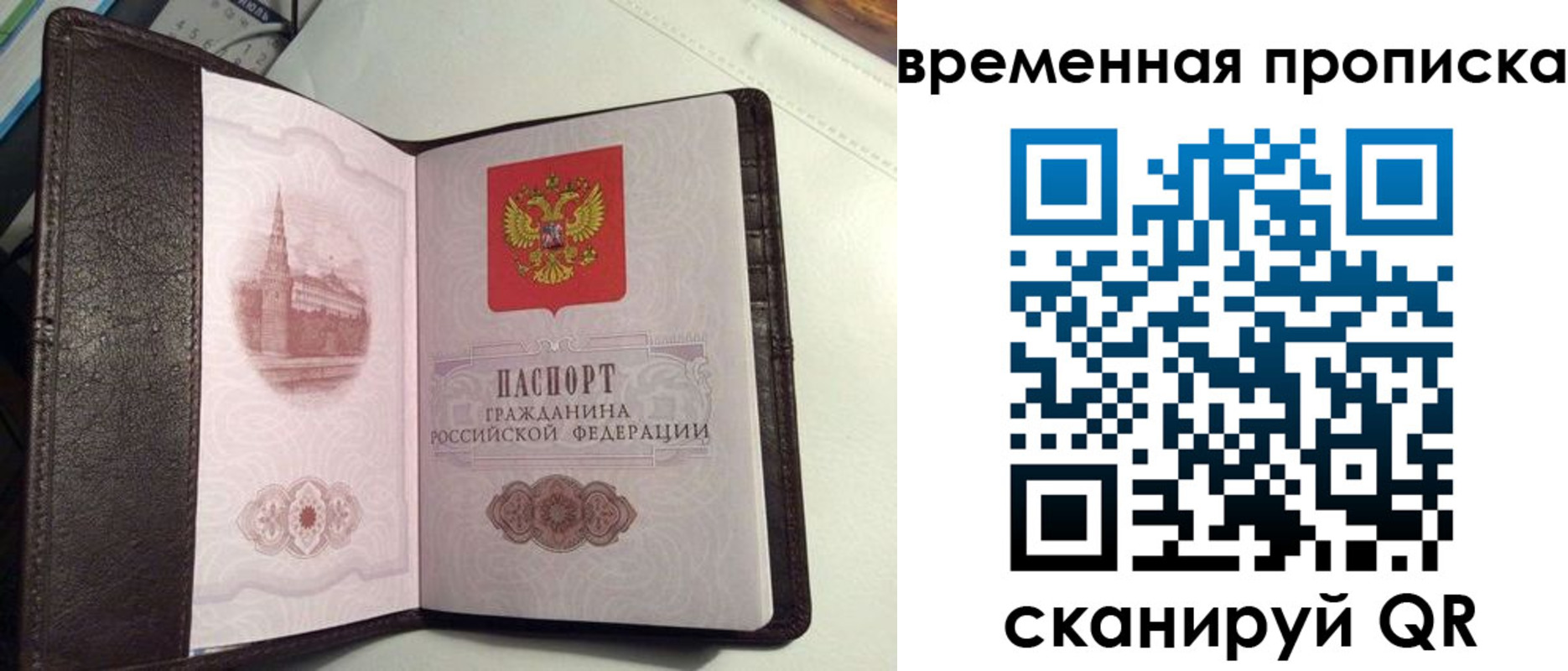 прописка 2025 в Зернограде